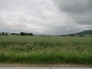 Devese 2010 046